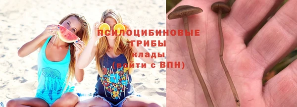 прущие грибы Алексеевка