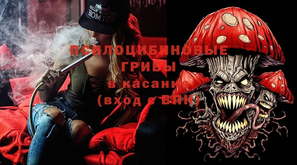 ECSTASY Алзамай