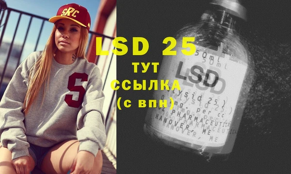 ECSTASY Алзамай